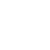 MANDALALOTUS white