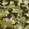 camouflage