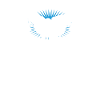 Pigeons