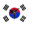 Taekwondo Korea Flag