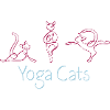 yoga cats