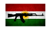 Kurdistan t shirt