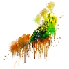 budgerigar