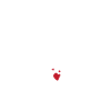 Silver wedding