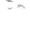 Birding, Birdwatching Pun - TERN Up