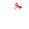 Ant whisperer ants gift