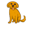 cute dog picture without text