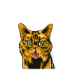 chat effronté être effronté