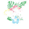 Aloha Hibiscus Hawaii