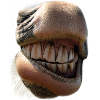 Cozy horse nose