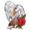 Romantic goose - Swan