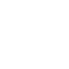mechanic