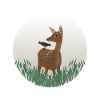 the DOE