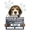 Chien mignon
