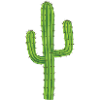 The Cactus