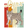 Jeune lynx