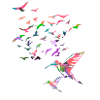 vögel,kolibri, schwarm,graffiti,illustration,vogel