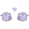 pigs in love