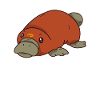 platypus cute funny