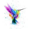 Graffiti aquarelle colibri
