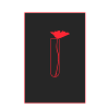 Corn poppy