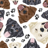 Joyeuse illustration Labrador