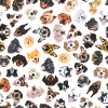 Cheerful illustration with dogs