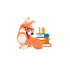 Corgi