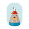 walrus