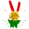 Biji Kurdistan chest