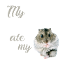 Hamster homework Funny saying