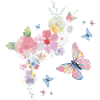 Butterflies and flowers