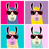 Llama