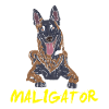 Maligator - Malinois Belgian Shepherd - Dog Owner