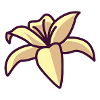 lily