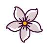 jasmine