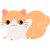 Cute cat
