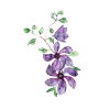 Flower tendril