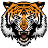 Tigerkopf wildes Tier