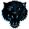tiger head wild animal design