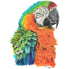 parrot