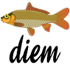 Poisson doré écailles orange