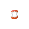 Dentures