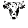 lustige kuh kuhl