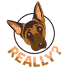 Hund