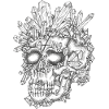 the Crystal Skull