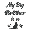 Mio fratello maggiore è un gatto gatto bambino