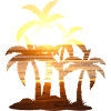 Sunset palm summer