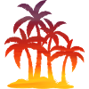 Sunset palm summer