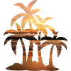Sunset palm summer